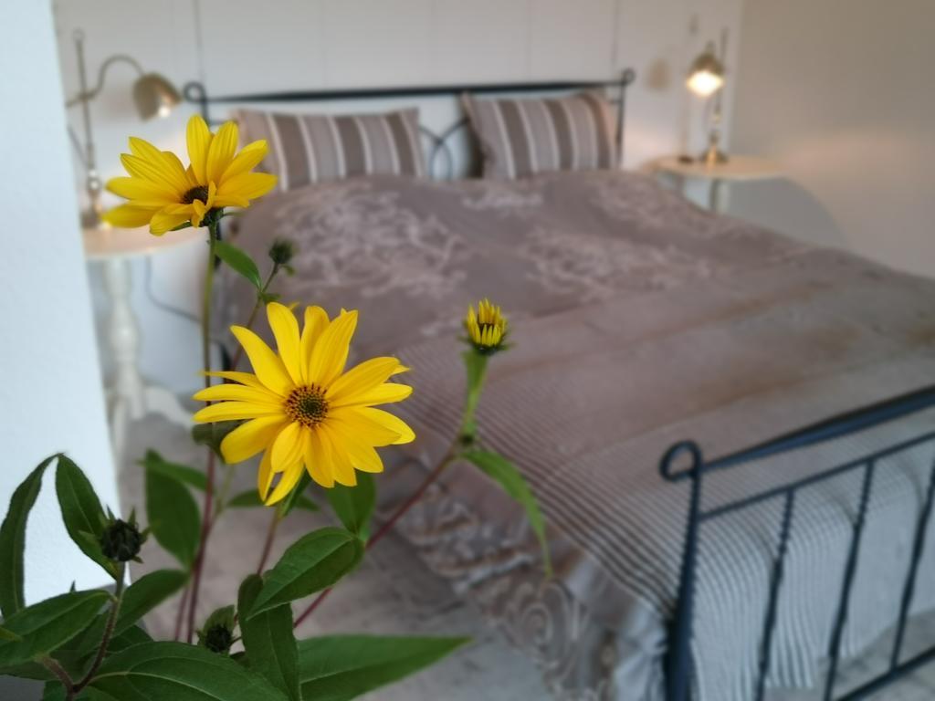 De Rolders Bed & Breakfast Wapenveld Exterior photo